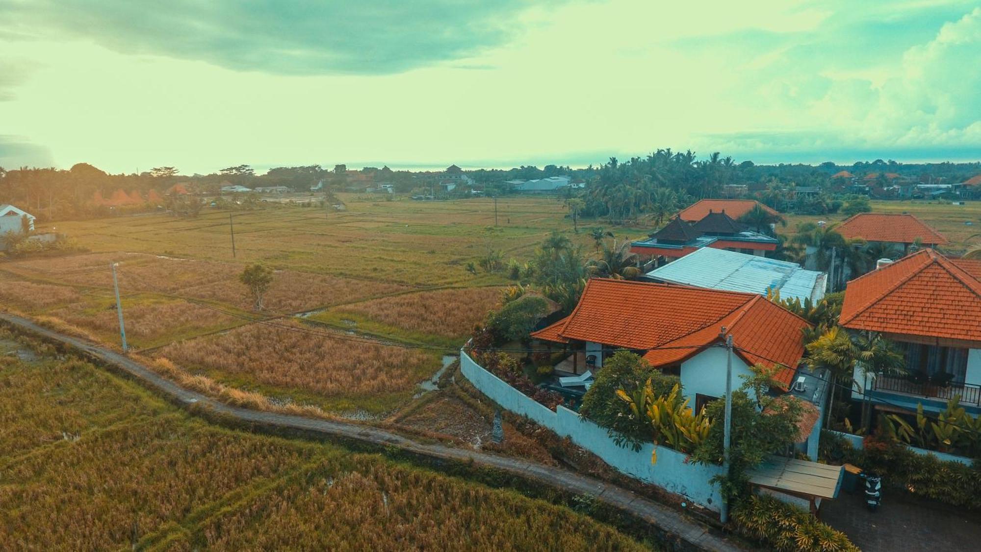 Villa Maya Ubud, Peaceful Rice Field View Dış mekan fotoğraf