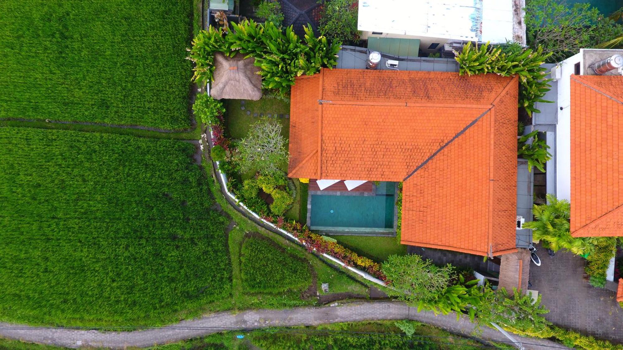 Villa Maya Ubud, Peaceful Rice Field View Dış mekan fotoğraf