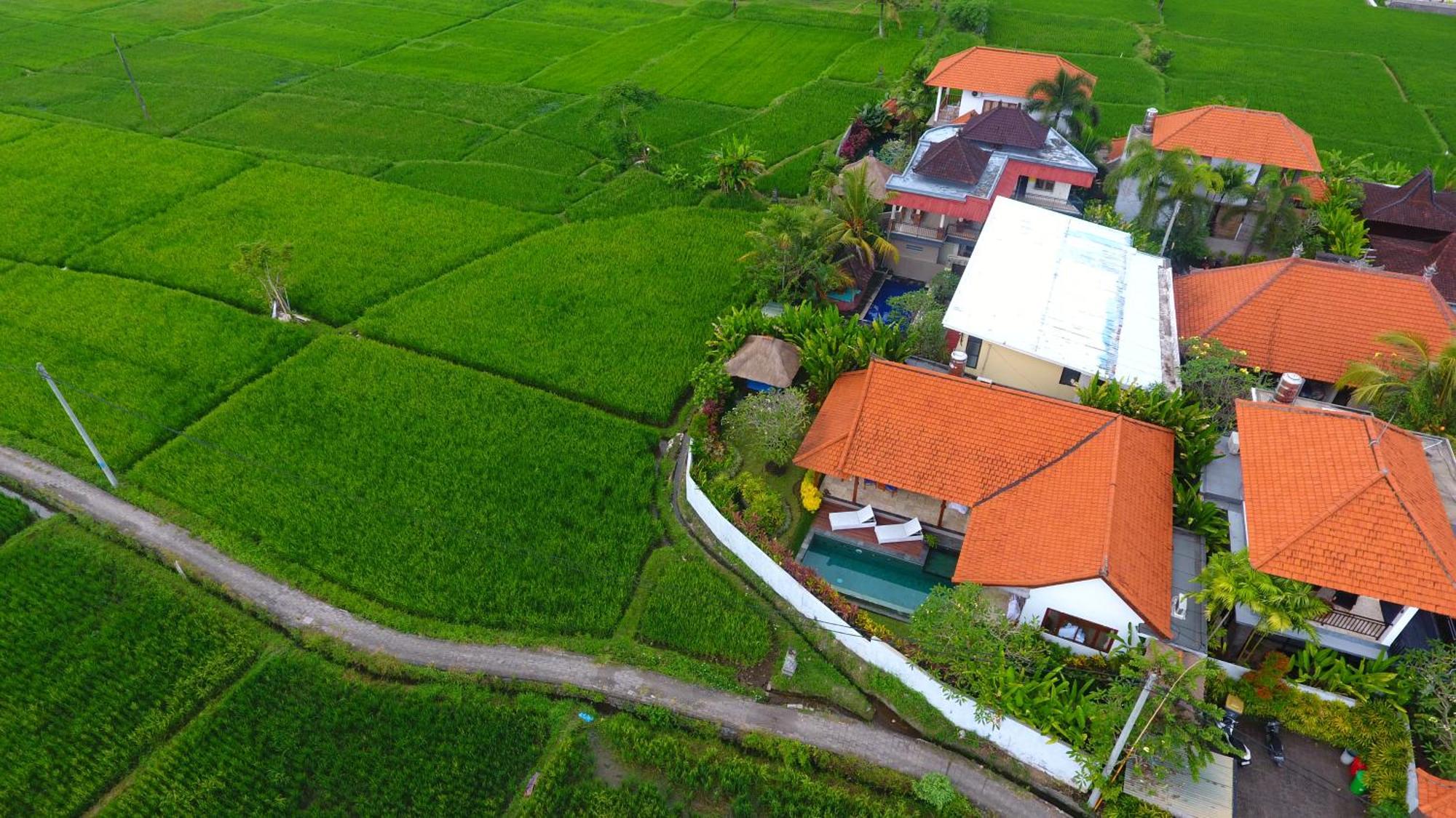 Villa Maya Ubud, Peaceful Rice Field View Dış mekan fotoğraf
