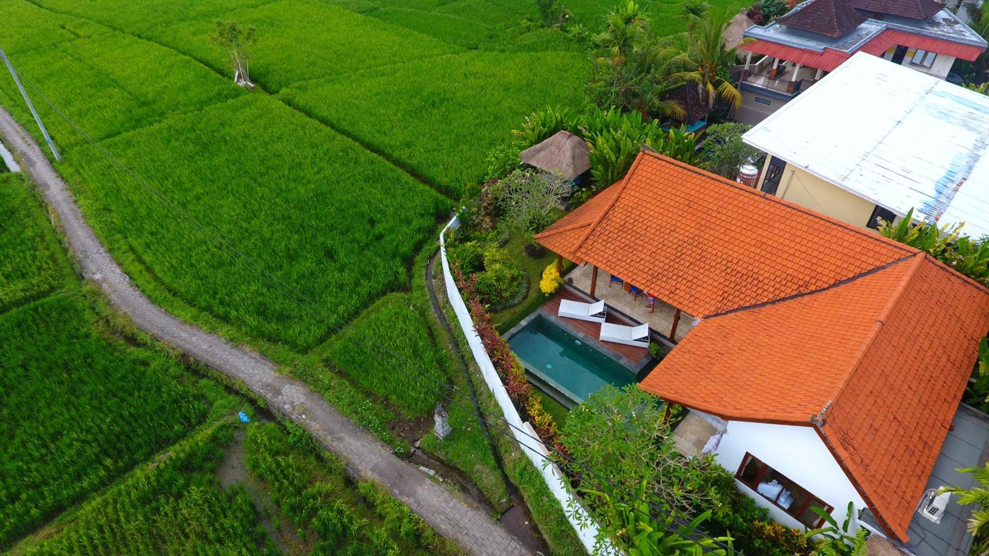 Villa Maya Ubud, Peaceful Rice Field View Dış mekan fotoğraf
