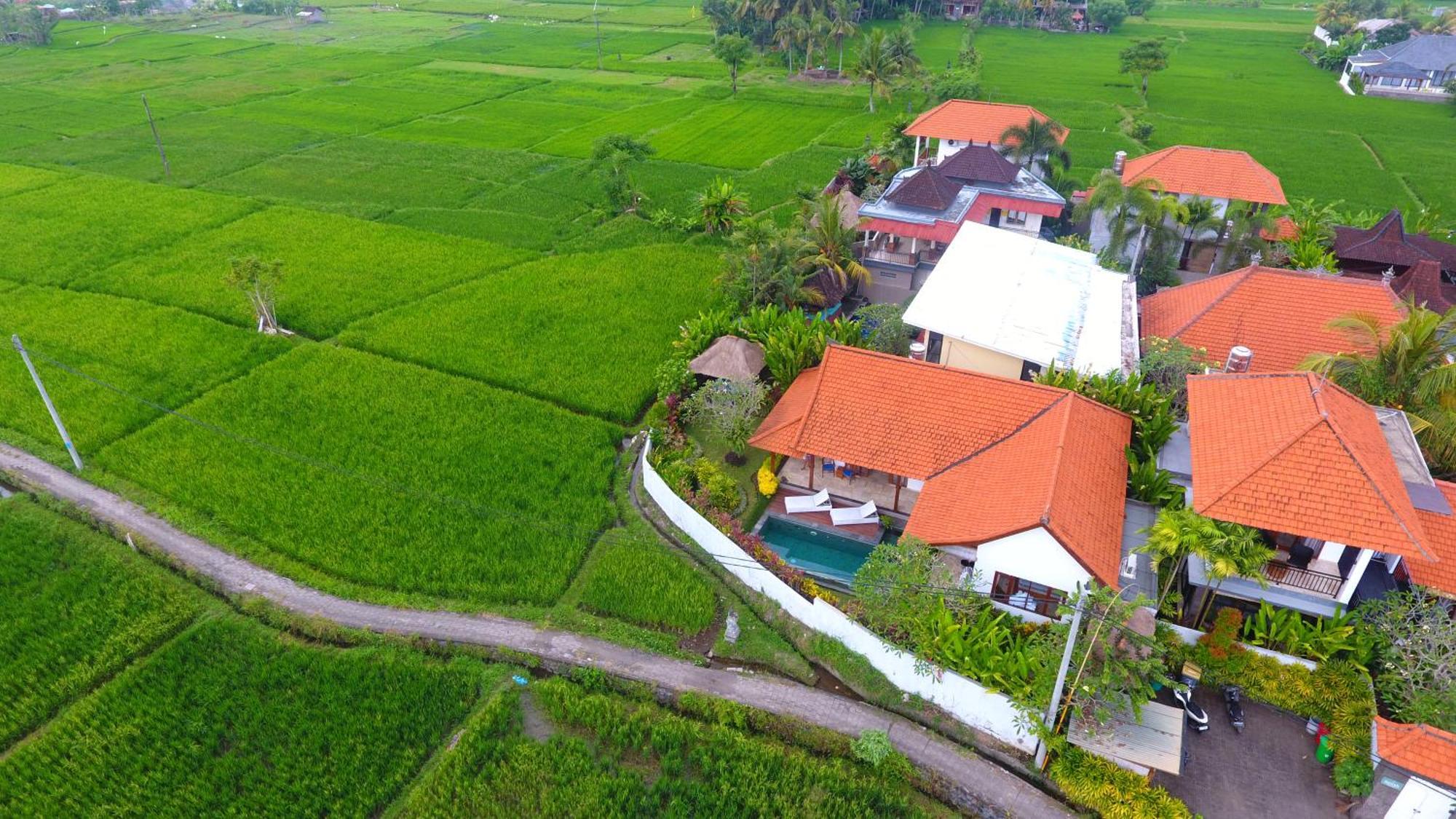 Villa Maya Ubud, Peaceful Rice Field View Dış mekan fotoğraf